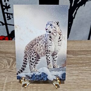 4x6 Snow Leopard Blue‎ Eyes Portrait Watercolor Fantasy Art Oil Painting Print